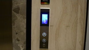 上海江湾麦德龙优品汇货梯