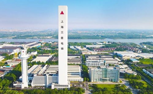 全国每8台电梯,就有1台来自闵行这家企业